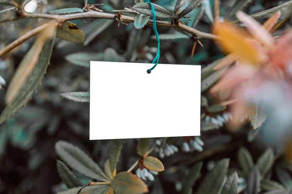 Quelle est la démarche à suivre pour qu'une PME puisse obtenir un label éco-responsable reconnu par les autorités?